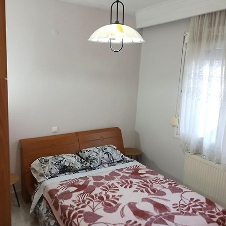 Apartment Marios Soufli Ευρύχωρη Γκαρσονιέρα, 60M2 Στο Κέντρο Souflion Exterior photo